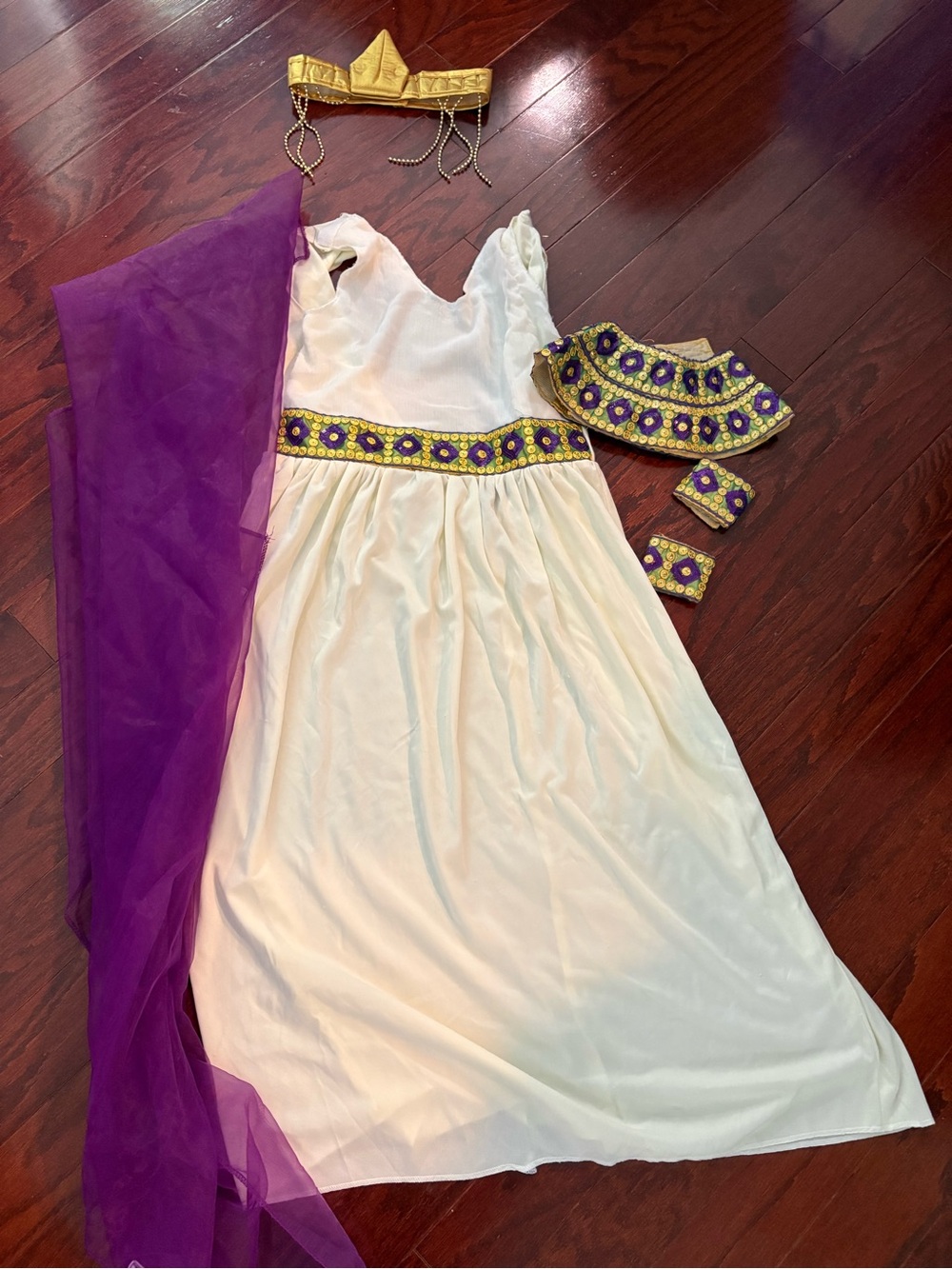 Girls Cleopatra Costume: Dress, Purple Cape, a Gold Crown, and Gold Accessories